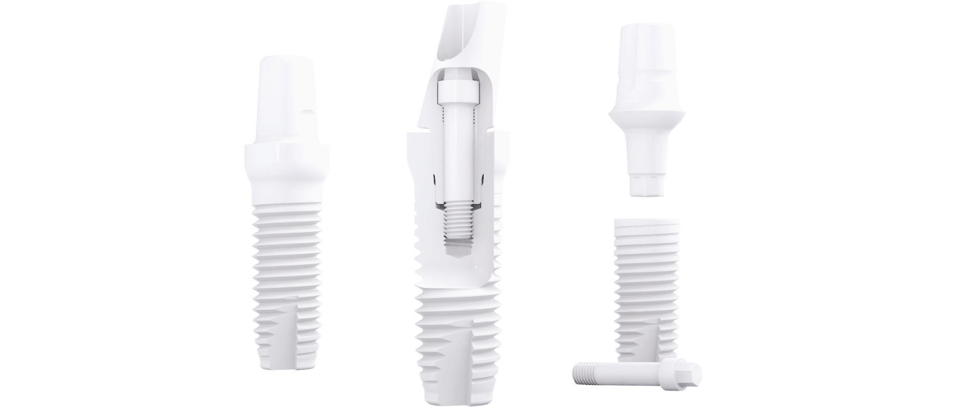 ZSystems_implantfamily-1880x795 ZSystems_implantfamily-1880x795